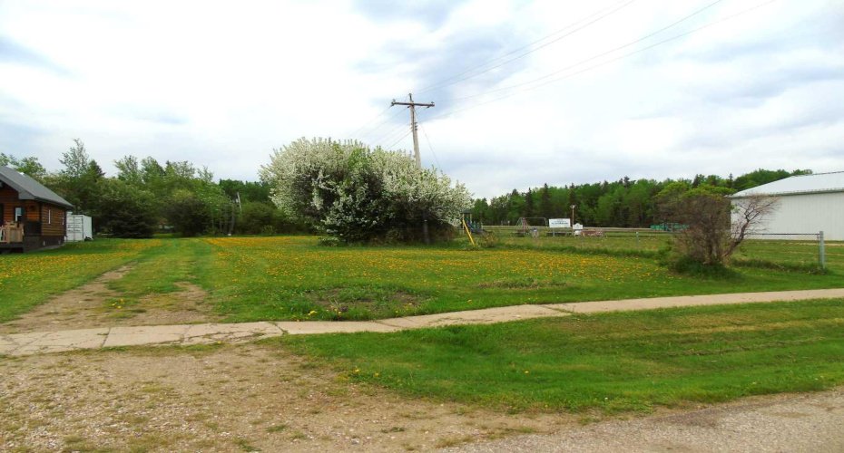 Lot 2 1st Street, Faust, Alberta T0G 0X0, ,Land,For Sale,1st,A2225211