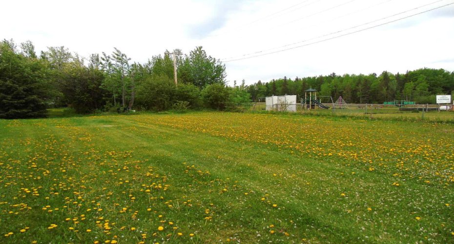 Lot 2 1st Street, Faust, Alberta T0G 0X0, ,Land,For Sale,1st,A2225211
