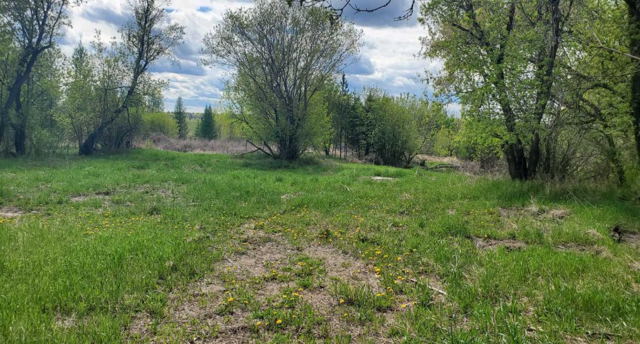 100 Street, Lac La Biche, Alberta T0A 2C0, ,Land,For Sale,Street,A2136198