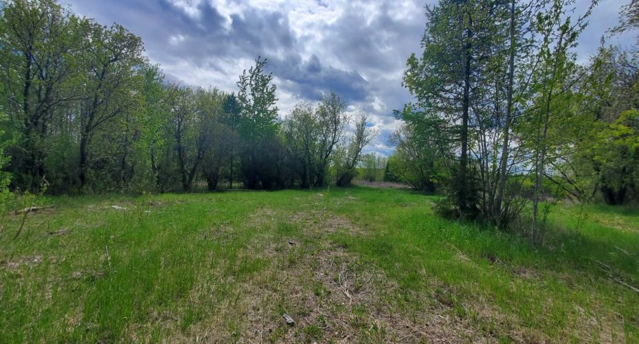 100 Street, Lac La Biche, Alberta T0A 2C0, ,Land,For Sale,Street,A2136198