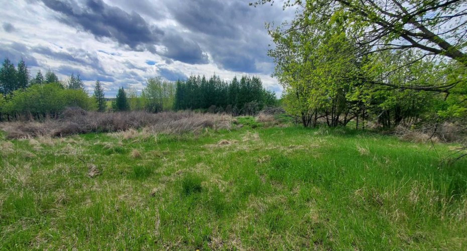 100 Street, Lac La Biche, Alberta T0A 2C0, ,Land,For Sale,Street,A2136198