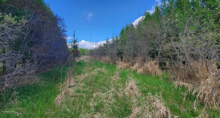 100 Street, Lac La Biche, Alberta T0A 2C0, ,Land,For Sale,Street,A2136198