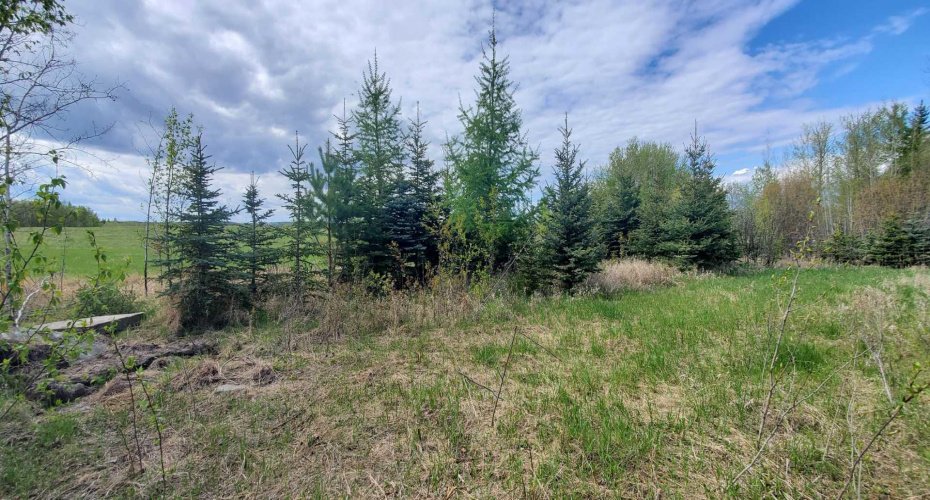 100 Street, Lac La Biche, Alberta T0A 2C0, ,Land,For Sale,Street,A2136198