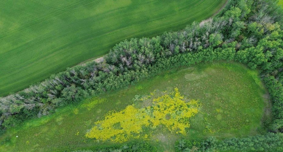 Range Road 80 Township Road 572, Rural Lac Ste. Anne County, Alberta T0E 1Y0, ,Land,For Sale,80 Township Road 572,A2108870