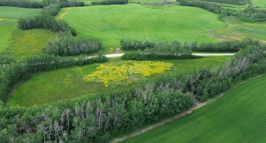 Range Road 80 Township Road 572, Rural Lac Ste. Anne County, Alberta T0E 1Y0, ,Land,For Sale,80 Township Road 572,A2108870