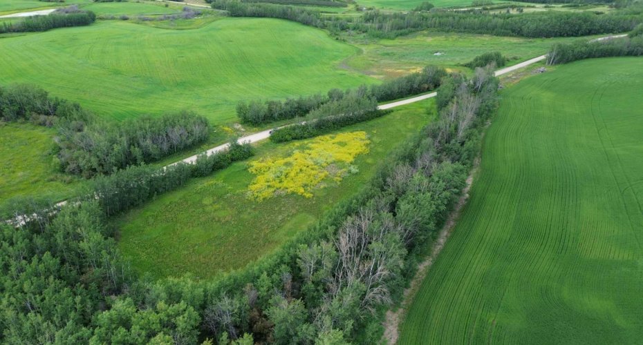 Range Road 80 Township Road 572, Rural Lac Ste. Anne County, Alberta T0E 1Y0, ,Land,For Sale,80 Township Road 572,A2108870