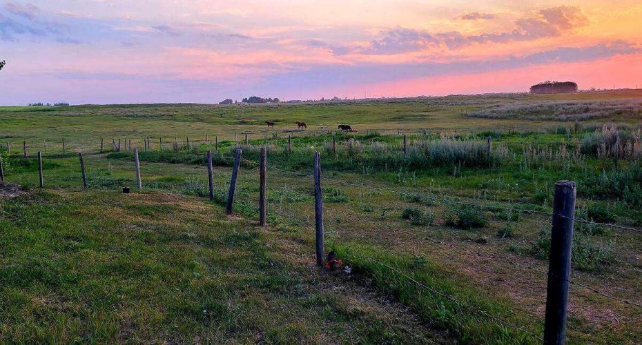 241054 Range Road 260, Rural Wheatland County, Alberta T1P 0Y6, 5 Bedrooms Bedrooms, ,3 BathroomsBathrooms,Residential,For Sale,Range Road 260,A2226490