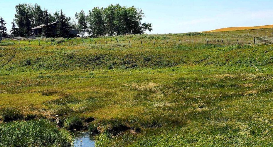 241054 Range Road 260, Rural Wheatland County, Alberta T1P 0Y6, 5 Bedrooms Bedrooms, ,3 BathroomsBathrooms,Residential,For Sale,Range Road 260,A2226490