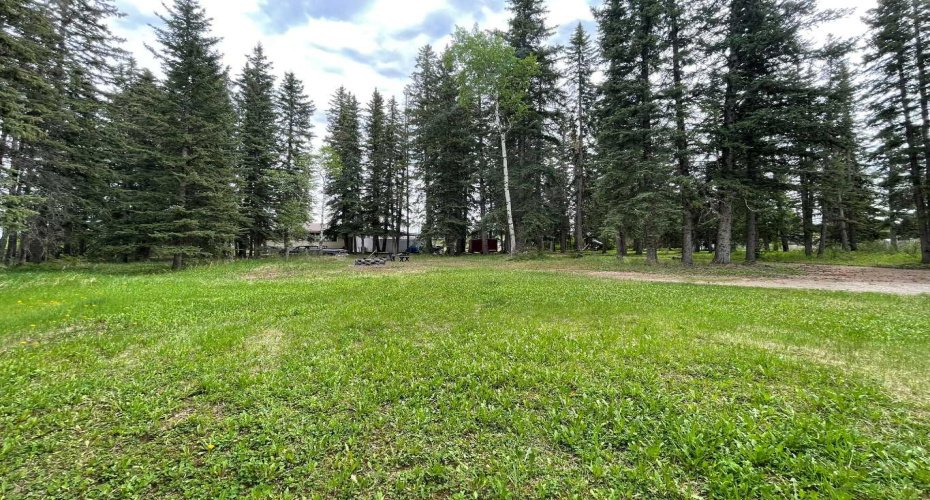 203 Maurer Drive, Hinton, Alberta T7V 2C4, 5 Bedrooms Bedrooms, ,2 BathroomsBathrooms,Residential,For Sale,Maurer,A2187720