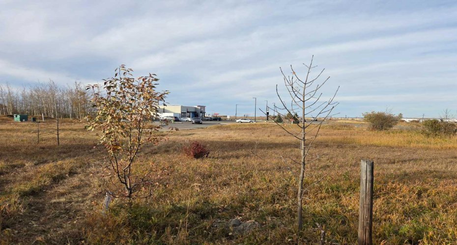 2412 20th Street, Didsbury, Alberta T0M0A2, ,Commercial,For Sale,Dairy Queen,20th,A2224725