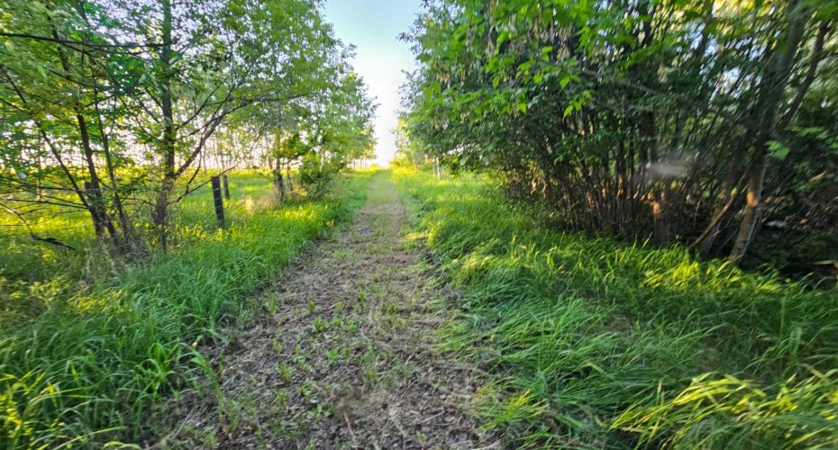 5314 MUNICIPAL ROAD, Coronation, Alberta T0C1C0, 5 Bedrooms Bedrooms, ,3 BathroomsBathrooms,Residential,For Sale,MUNICIPAL ROAD,A2223635