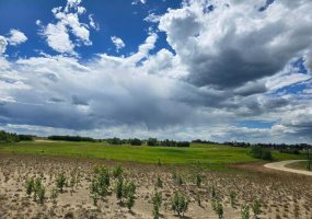 406 Sand Hills Drive, Rural Ponoka County, Alberta T4J 0B3, ,Land,For Sale,Sand Hills,CA0105159