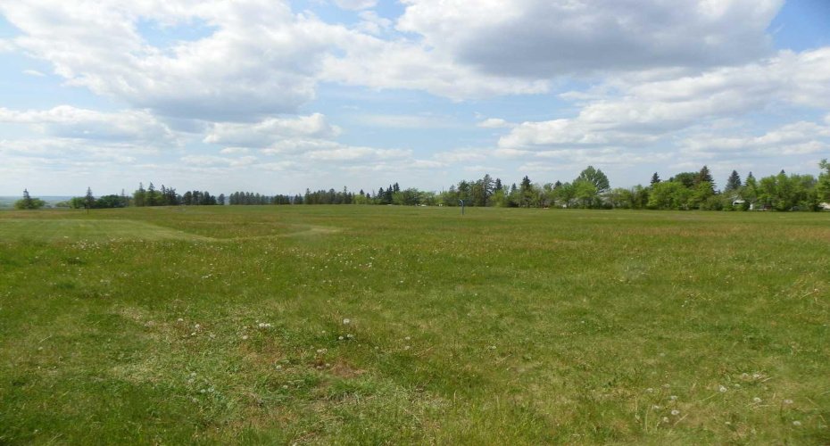 6 Ave Avenue, Three Hills, Alberta T0M 2A0, ,Commercial,For Sale,Ave,A2227778