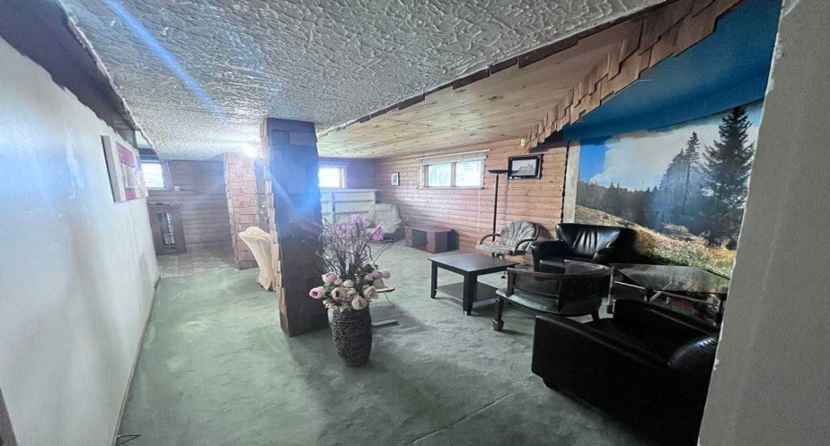 Basement Living room