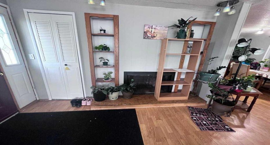 Living room fireplace