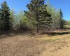 660023 Range Road 224, Rural Athabasca County, Alberta T9S 2A8, ,Land,For Sale,Range Road 224,A2219089