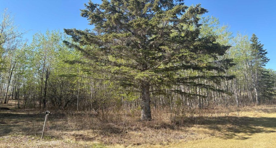 660023 Range Road 224, Rural Athabasca County, Alberta T9S 2A8, ,Land,For Sale,Range Road 224,A2219089