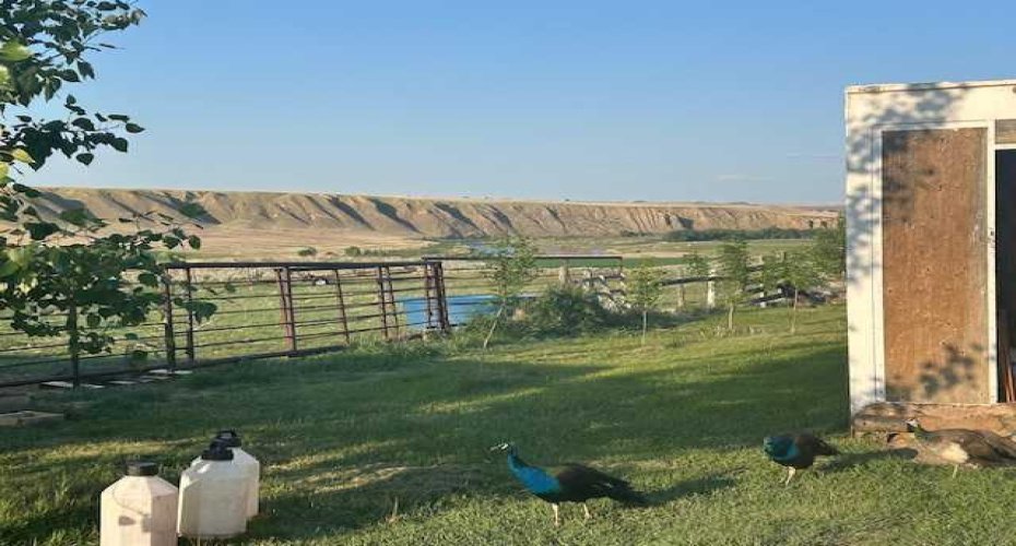 112029 RR 144, Rural Taber, M.D. of, Alberta T0K 1X0, 8 Bedrooms Bedrooms, ,3 BathroomsBathrooms,Residential,For Sale,RR 144,A2228598