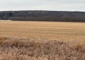 3-1-2121458 242A Range, Rural Birch Hills County, Alberta T0H3R0, ,Land,For Sale,242A,A2229178