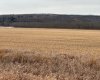 3-1-2121458 242A Range, Rural Birch Hills County, Alberta T0H3R0, ,Land,For Sale,242A,A2229178