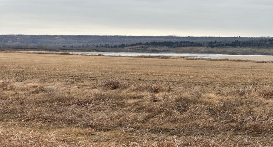 2-1-2121458 242A Range, Rural Birch Hills County, Alberta T0H3R0, ,Land,For Sale,242A,A2229180