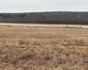 1-1-2121458 242A Range, Rural Birch Hills County, Alberta T0H3R0, ,Land,For Sale,242A,A2229183