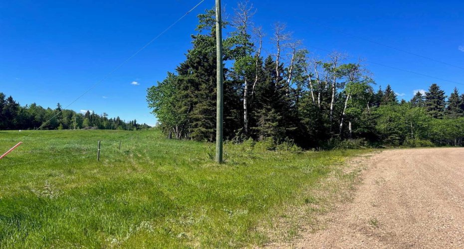 421022 Range Road 260, Rural Ponoka County, Alberta T4J 1R3, ,Land,For Sale,Range Road 260,A2229268