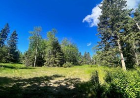 421022 Range Road 260, Rural Ponoka County, Alberta T4J 1R3, ,Land,For Sale,Range Road 260,A2229302