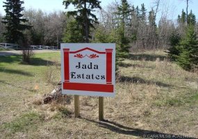 421022 Range Road 260, Rural Ponoka County, Alberta T4J 1R3, ,Land,For Sale,Range Road 260,A2229310