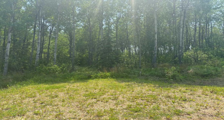 660023 Range Road 224, Rural Athabasca County, Alberta T9S 2A8, ,Land,For Sale,Range Road 224,A2230164