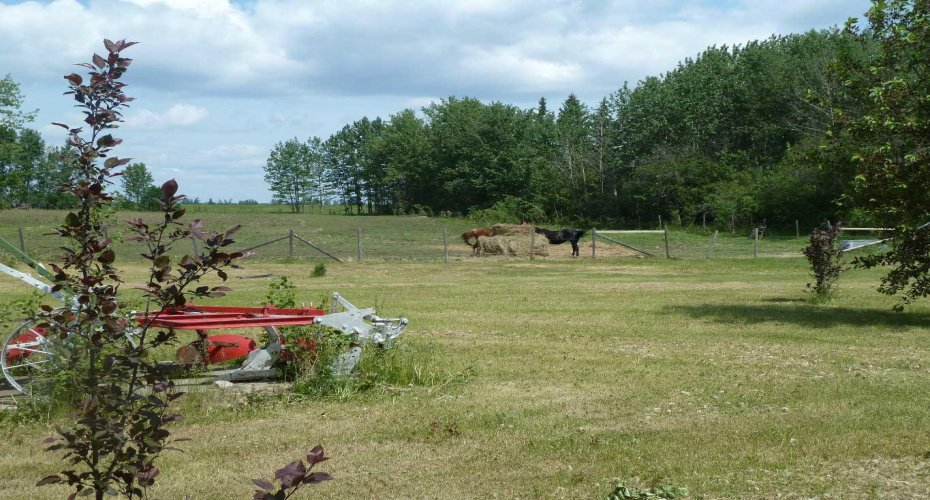 65471 152 Range, Hylo, Alberta T0A1Z0, 5 Bedrooms Bedrooms, ,3 BathroomsBathrooms,Agri-business,For Sale,152,A2230778