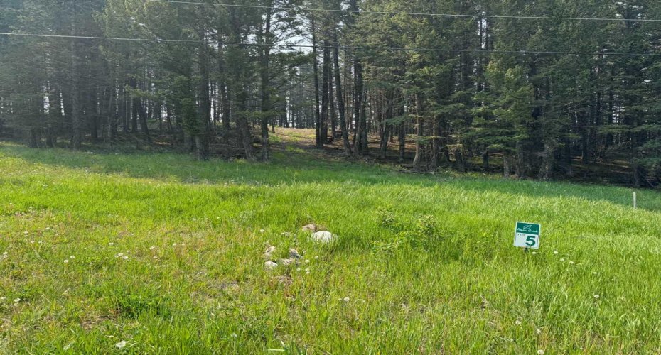 8717 24 Avenue, Coleman, Alberta T0M0K0, ,Land,For Sale,24,A2231292