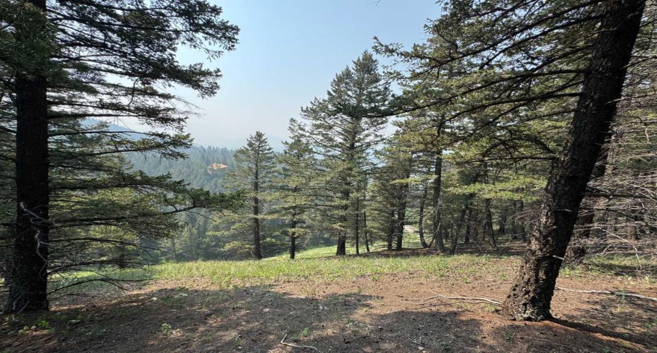8717 24 Avenue, Coleman, Alberta T0M0K0, ,Land,For Sale,24,A2231292