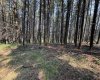 8717 24 Avenue, Coleman, Alberta T0M0K0, ,Land,For Sale,24,A2231292