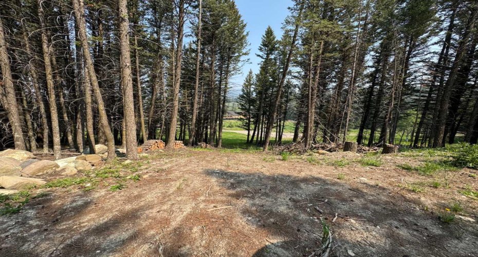 8717 24 Avenue, Coleman, Alberta T0M0K0, ,Land,For Sale,24,A2231292