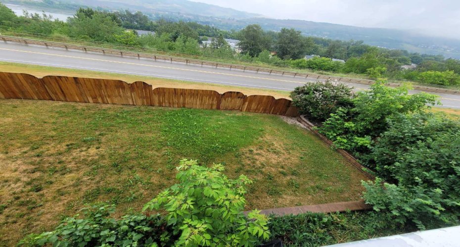 Back yard, view from the balcony