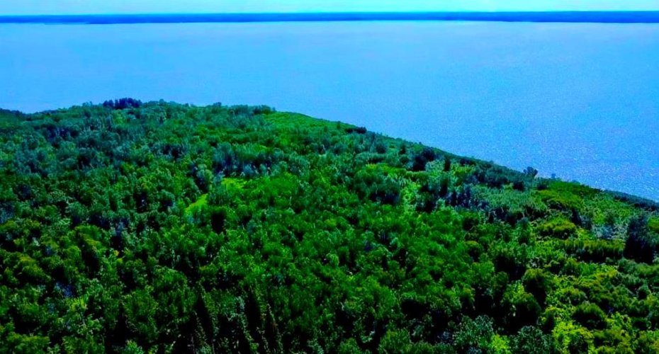 SW 19-68-14 W4M Range Rd 145 & Twp Rd 683, Lac La Biche, Alberta T0A 2C1, ,Land,For Sale,Range Rd 145 & Twp Rd 683,A2172285