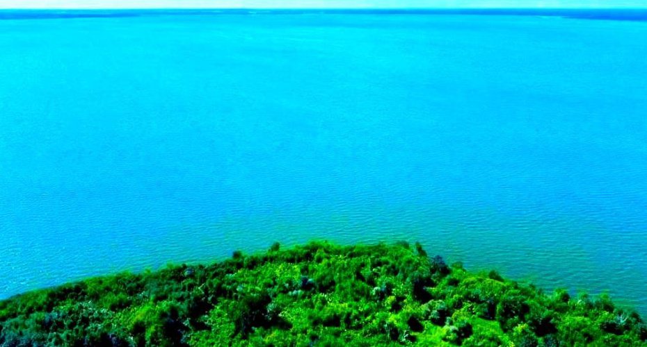 SW 19-68-14 W4M Range Rd 145 & Twp Rd 683, Lac La Biche, Alberta T0A 2C1, ,Land,For Sale,Range Rd 145 & Twp Rd 683,A2172285