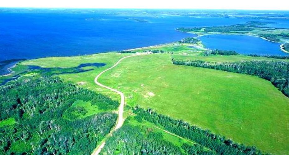 NE 9-68-13-W4M Twp Rd 681 Range Rd 133, Lac La Biche, Alberta T0A 2C0, ,Land,For Sale,Twp Rd 681 Range Rd 133,A2172422