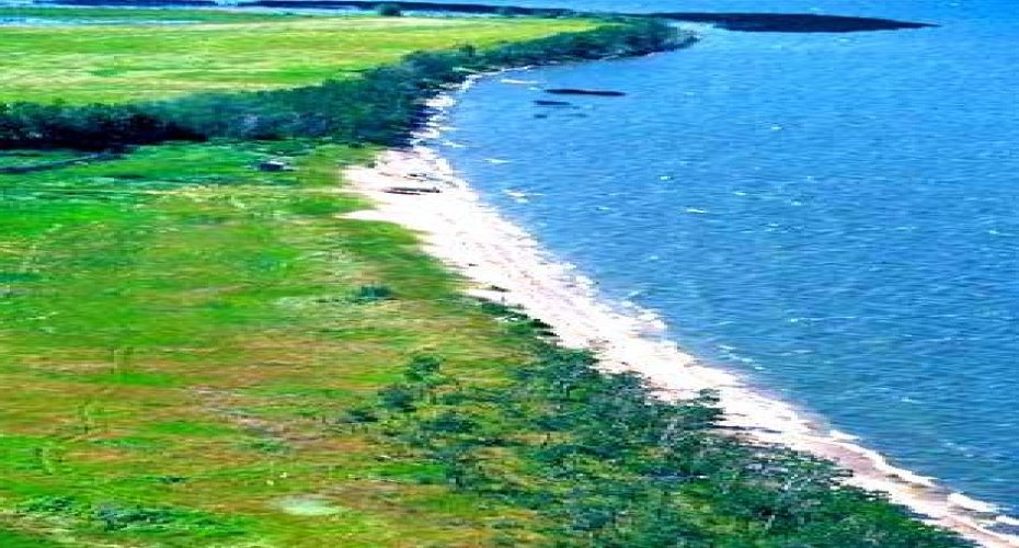 NE 9-68-13-W4M Twp Rd 681 Range Rd 133, Lac La Biche, Alberta T0A 2C0, ,Land,For Sale,Twp Rd 681 Range Rd 133,A2172422