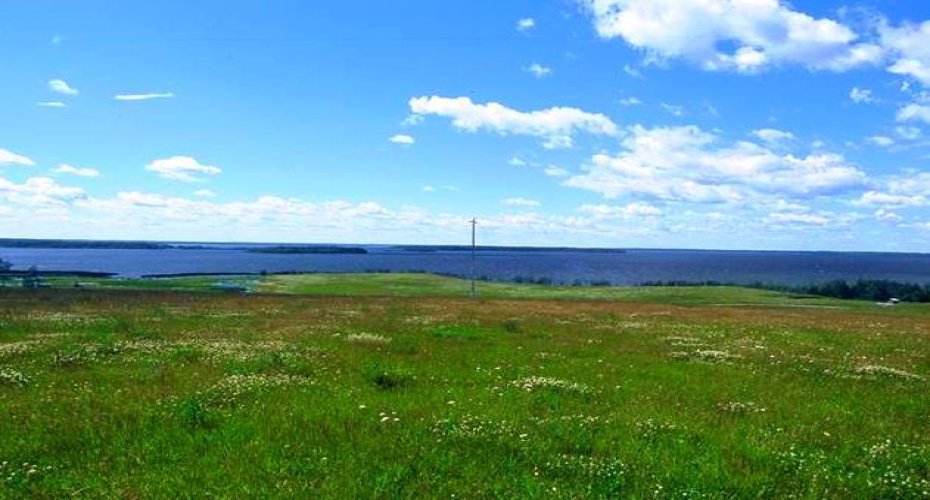 NE 9-68-13-W4M Twp Rd 681 Range Rd 133, Lac La Biche, Alberta T0A 2C0, ,Land,For Sale,Twp Rd 681 Range Rd 133,A2172422