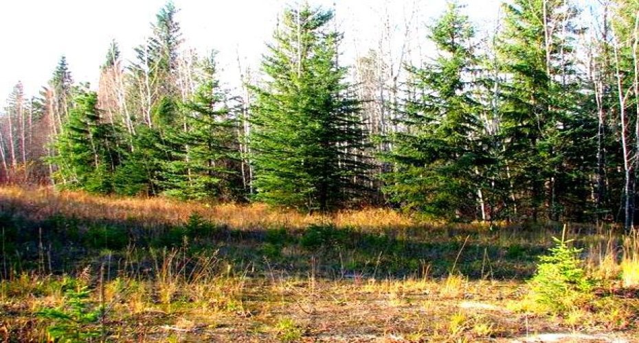 Lot 4 Old Mission Road, Lac La Biche, Alberta T0A 2C0, ,Land,For Sale,Old Mission Road,A2183675