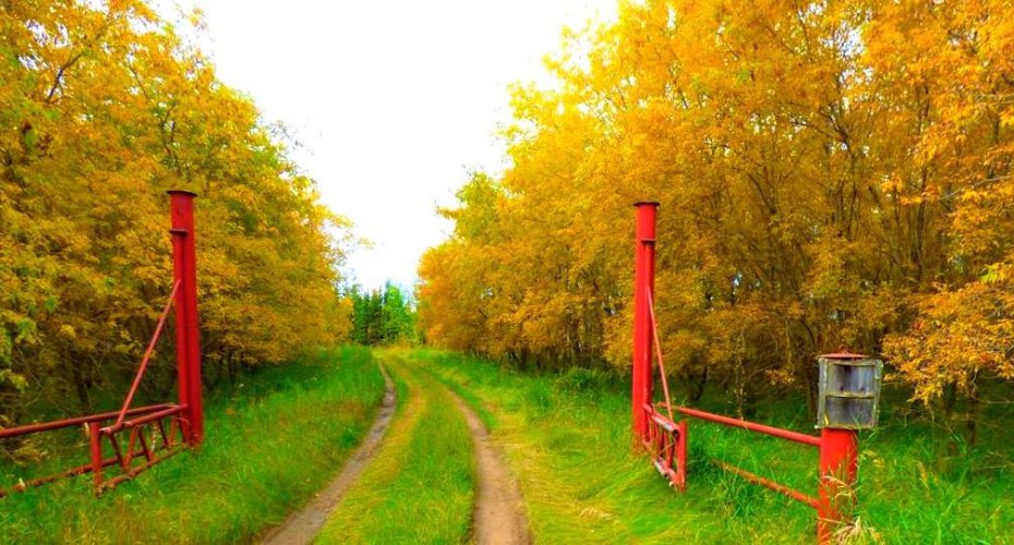 2520855, 1, 2, Lac La Biche, Alberta T0A 2C0, ,Land,For Sale,2,A2183681