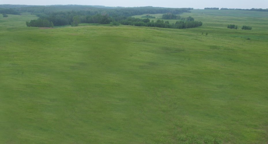 On Township Road 422 Lot 12, Rural Ponoka County, Alberta T0C 2J0, ,Land,For Sale,Township Road 422 Lot 12,A2228701