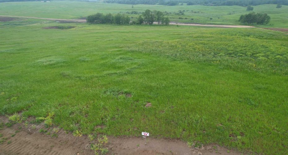 On Township Road 422 Lot 13, Rural Ponoka County, Alberta T0C 2J0, ,Land,For Sale,Township Road 422 Lot 13,A2228714