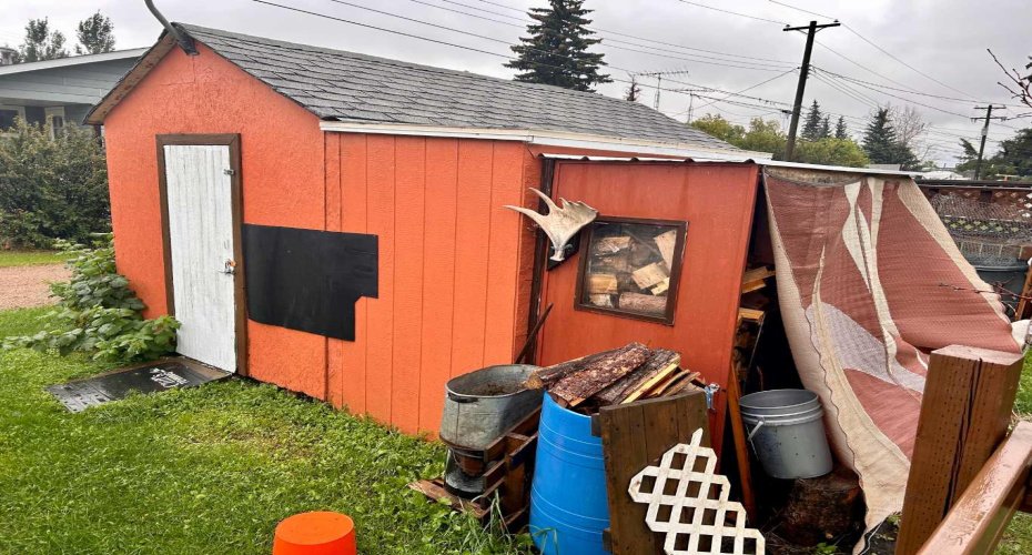 5047 48 Street, Mannville, Alberta T0B 2W0, 2 Bedrooms Bedrooms, ,1 BathroomBathrooms,Residential,For Sale,48,A2231549