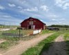 NE-10-54-10-W4, Rural Two Hills No. 21, County of, Alberta T0B4K0, ,Agri-business,For Sale,NE-10-54-10-W4,A2232856