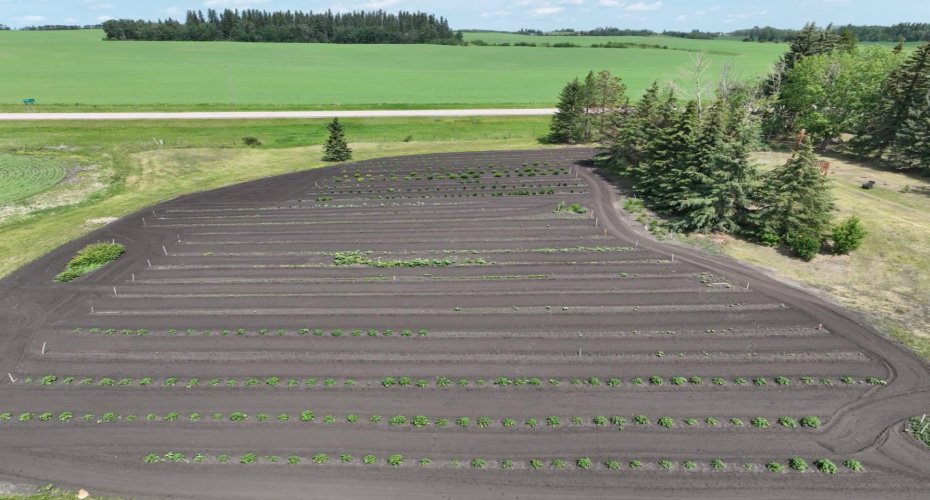 NE-10-54-10-W4, Rural Two Hills No. 21, County of, Alberta T0B4K0, ,Agri-business,For Sale,NE-10-54-10-W4,A2232856