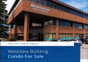 2816 11 Street, Calgary, Alberta T2E7S7, ,Commercial,For Sale,11,A2232827