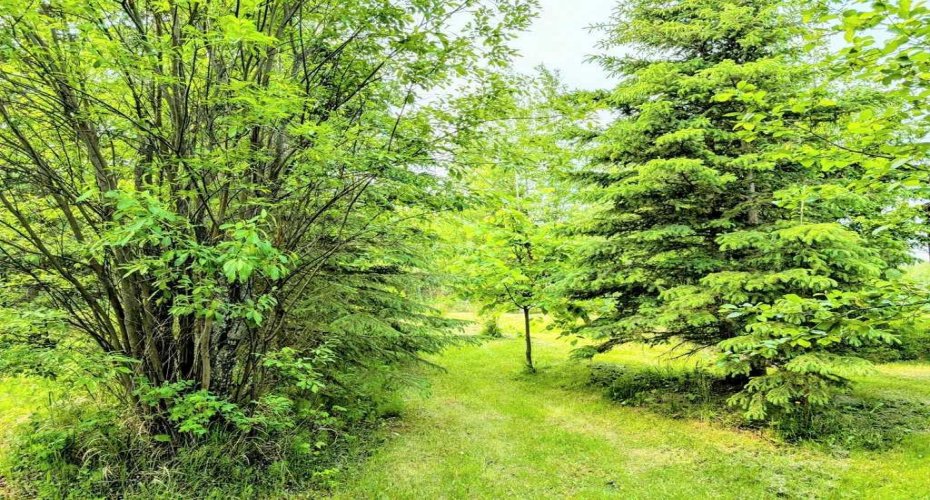 4 4A Street, Faust, Alberta T0G 0X0, 1 Bedroom Bedrooms, ,1 BathroomBathrooms,Residential,For Sale,4A,A2232797